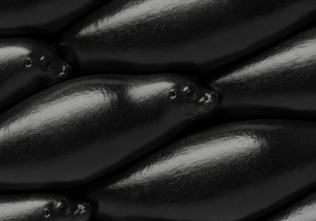 Surreal abstract background of a crowd of shiny black seals packed together. This conceptual monochrome image creates a unique texture.の素材