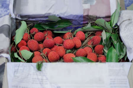 Fresh Lychee fruit in the box, Thai fruit Linchee  background.の写真素材