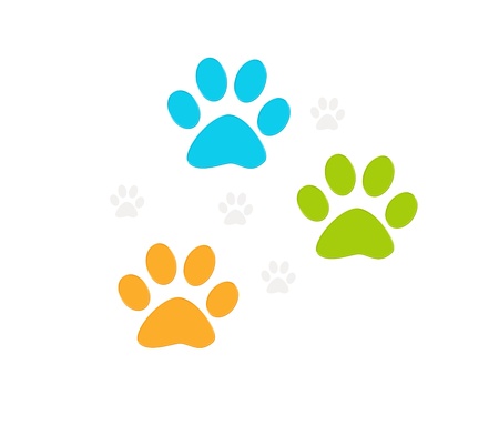 Footprints of pets in colors blue, green and orange