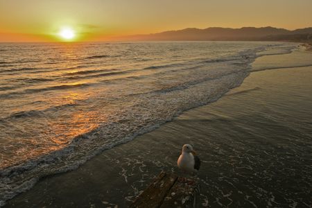 Sunrise at Santa Monicaの写真素材
