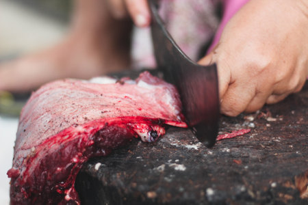 Cutting fresh red meat with a sharp, hand-held knife and tusks on a large piece of woodの写真素材