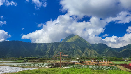 Mountain Meets Farm: Exploring Picturesque Landscapes with Lush Fields and Blue Sky Beautifully.の写真素材