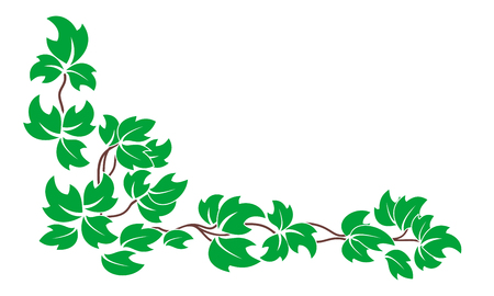 Vector floral pattern. A branch of the vine with green leaves isolated on white background.のイラスト素材
