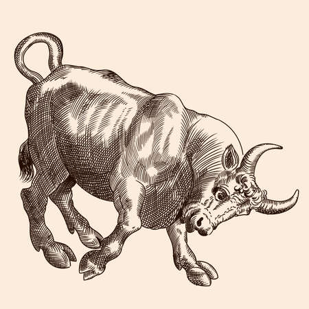 A furious bull stands in a pose with its horns thrust forward. Vector image of a medieval engraving on a beige background.のイラスト素材