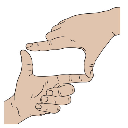 Two male hands framed for viewing. Hands isolated on white backgroundのイラスト素材