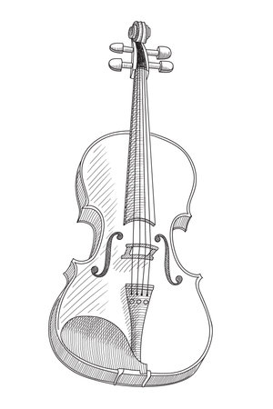 Violin isolated on white background. Vector linear drawing.のイラスト素材