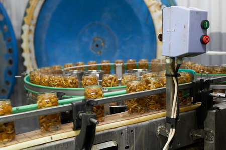 Conveyor belt used in the food industry with cans