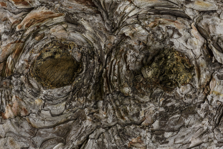 Wooden Texture Background