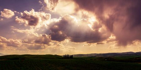 A Cloudy Day With Cypress Trees From The Val D' Orciaの写真素材