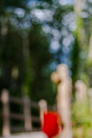 Flowering Poppies Bokehの写真素材