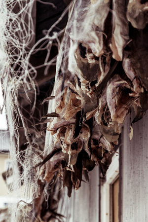 Cod Hanging From A Norwegian Hut To Dryの写真素材