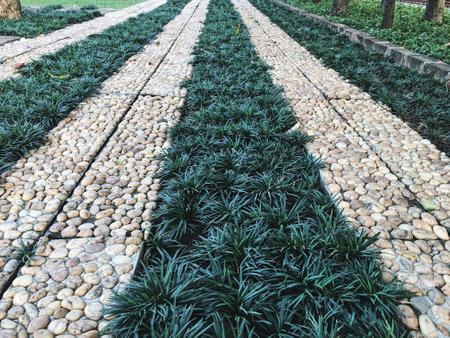 Filed backgroundの素材