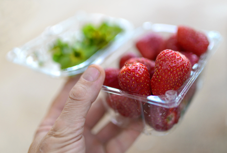The hand holds a plastic container with strawberries. Narrow depth of fields. Closeup.の写真素材