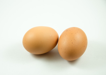 Isolated Egg With With White BackGroundの写真素材