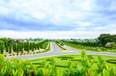 Green Roadの写真素材