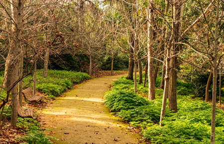 Photograph of a path in the Carmen de los MÃ¡rtires (Granada)