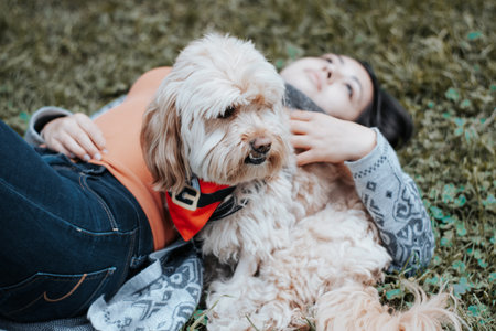 <p>The dog is next to his mom lying in the park. The dog looks into the distance</p>の写真素材