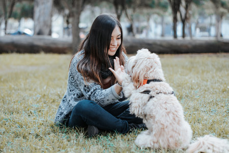 <p>Girl high five with her dog in the park. Happy girl playing with her dog in the park.</p>の写真素材