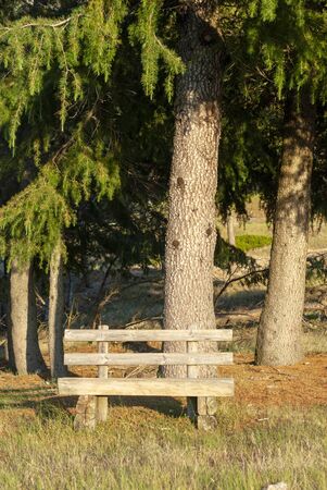wooden bench next to tree in the mountainsの写真素材