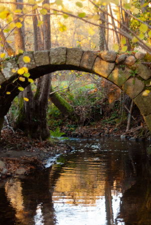 Small medieval stone block bridge over transparent water river with yellow leaves in autumnの写真素材