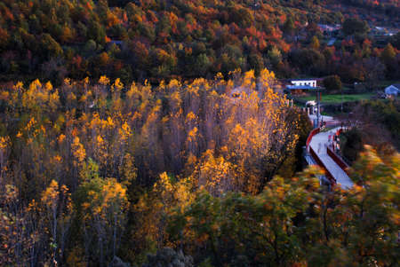 View Monte de Hervas via verde via de la Plata Iron Bridge autumn colors ocher yellow green sunset