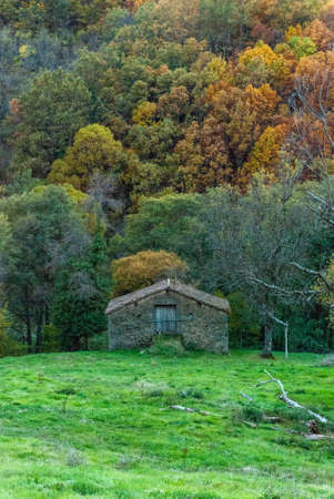 Stone house to store tools on green meadow with chestnut forest in the background in autumn vertical Ambrozの写真素材