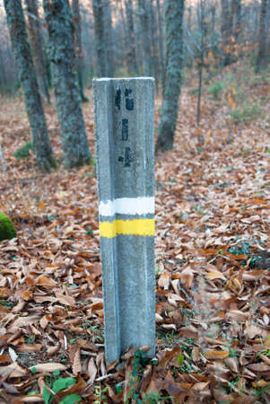 Route sign post yellow white mark small local route painted on cement concrete beam
