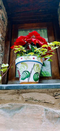 Pot with red flowers on wooden window with blackboard wall