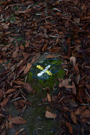 White and yellow x-mark on stone on the ground for short haul wrong way