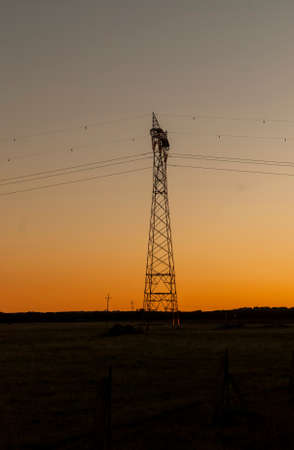 Backlit electricity tower in the dehesa of Extremadura at sunset in winter verticallyの写真素材