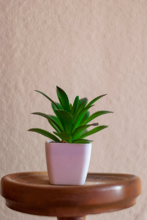 Green decorative artificial plant in white pot with white background on vertical wooden shelf with area for copy spaceの写真素材