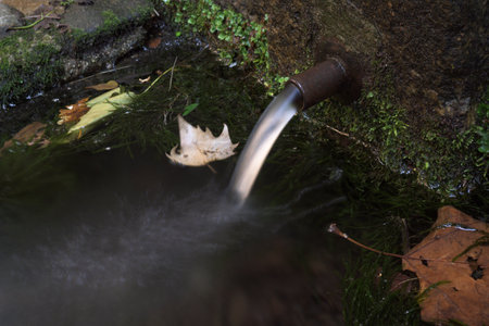 Fresh water fountain with autumn leaves moss and algae for drinking and cooling