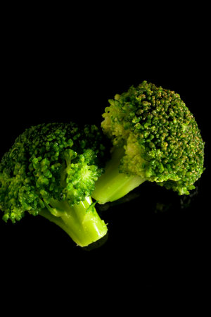 Green broccoli with dark black background in vertical Brassica oleracea var italicaの写真素材