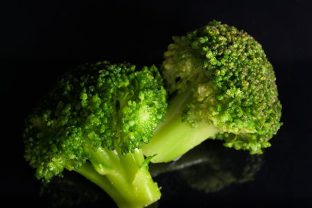Green broccoli with dark black background horizontally Brassica oleracea var italicaの写真素材