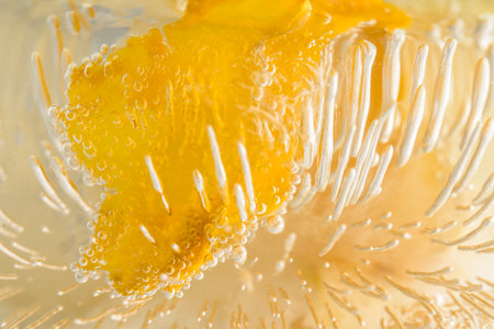 yellow flower petal frozen in ice abstract macro horizontalの写真素材