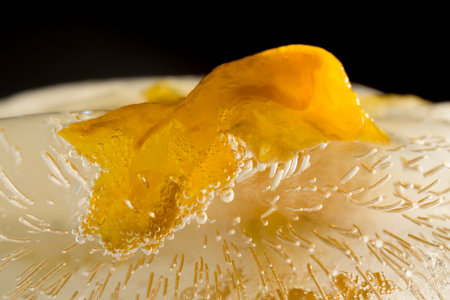 Macro photography of yellow flower frozen in ice in horizontal details of the flower and the iceの写真素材