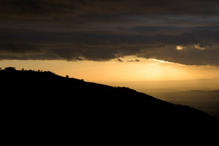 Backlit hill at dawn with detail of trees on a cloudy day in horizontalの写真素材