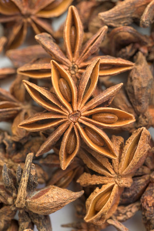 Illicium verum star anise eight horns with seeds for cooking and medicinal use verticallyの写真素材