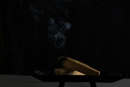 Close up conceptual still life of Palo Santo wood sticks resting on a dark tray, emitting thin white smoke that spirals upward against a stark black background. Conveys themes of calm and ritualの写真素材