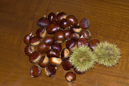High angle shot of a group of shiny brown chestnuts and two spiky green burrs scattered on a brown wooden surface. A classic autumn harvest still life scene focusing on the food texture.の写真素材