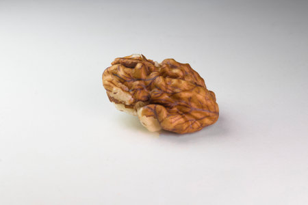 Close up studio shot of a single shelled walnut kernel half isolated on a white background. The image highlights the wrinkled brown texture and natural shape of the healthy nut snack.の写真素材