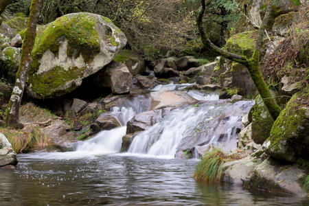 Horizontal shot of a mountain stream cascading over granite rocks. The silky water flows into a calm pool, surrounded by large green mossy boulders in a lush forest setting.の写真素材