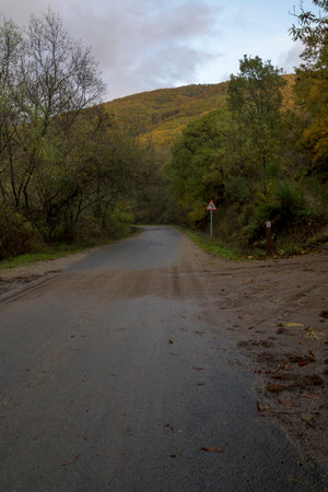 A view of a wet rural road winding through an autumn forest. A significant layer of mud covers the asphalt surface, creating slippery and dangerous driving conditions. A red and white warning sign for a sharp curve is visible ahead under an overcast skyの写真素材