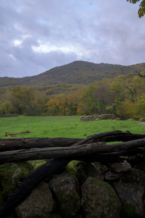 Vertical view of a green meadow and autumn forest mountain framed by a dark stone wall and wooden logs in the foreground. The sky is overcast and moody over the rural scenery.の写真素材