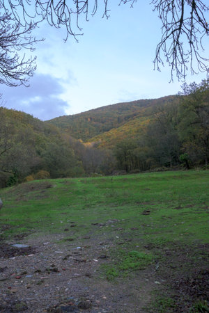 Vertical rural landscape showing a dirt path leading to a green meadow. Bare tree branches frame the top view of autumn forest covered hills under a cloudy sky.の写真素材
