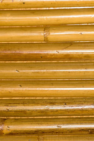 Close up of natural bamboo rods arranged horizontally with warm tones and rustic handcrafted surface ideal for backgrounds and design usesの写真素材