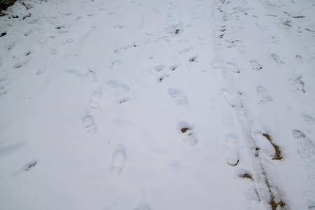 Footprints scattered across fresh winter snow creating a textured cold outdoor scene ideal for seasonal themes travel and nature conceptsの写真素材