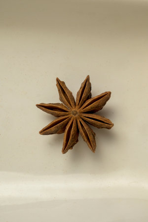 Single dried star anise pod in a clean minimal setup showing detailed texture and warm natural tones ideal for culinary and food themesの写真素材
