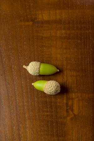 Two fresh green acorns with textured caps placed on a wooden surface creating a natural autumn inspired still lifeの写真素材