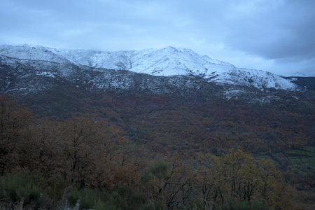 Winter view of the Hervas mountain range covered in snow showing contrasting forests and white peaks under a cloudy skyの写真素材